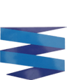 Koza Security Services